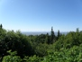 Panorama 16