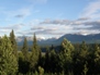 Panorama 49