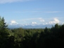 Panorama 50