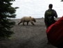 Wildlife 40