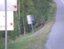 Wildlife 41